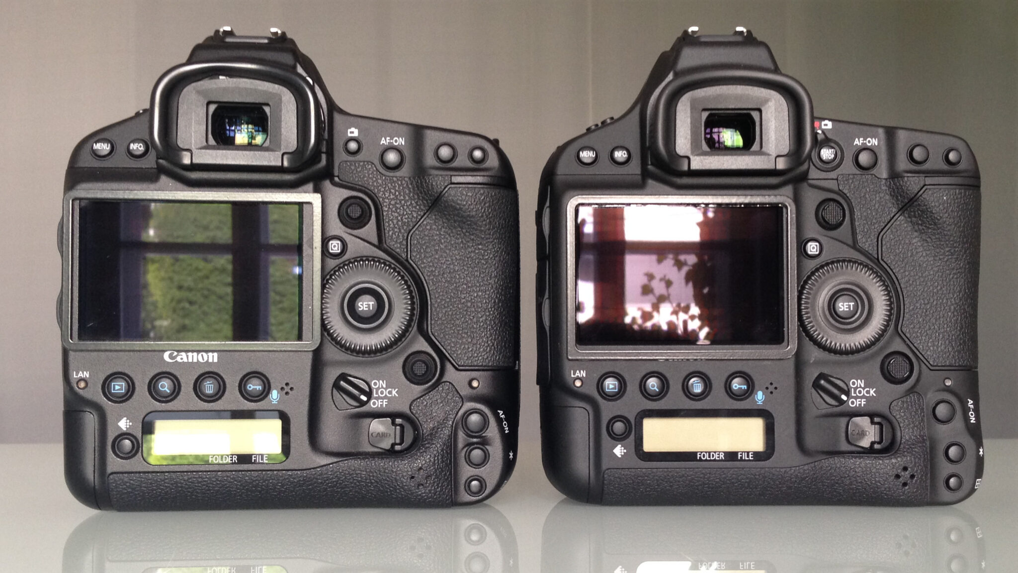 Canon Eos D X Mark Ii Review Real World Video Samples First