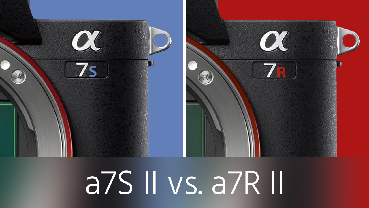 Sony II vs. a7R II Test – Which One Is Right for You? | CineD