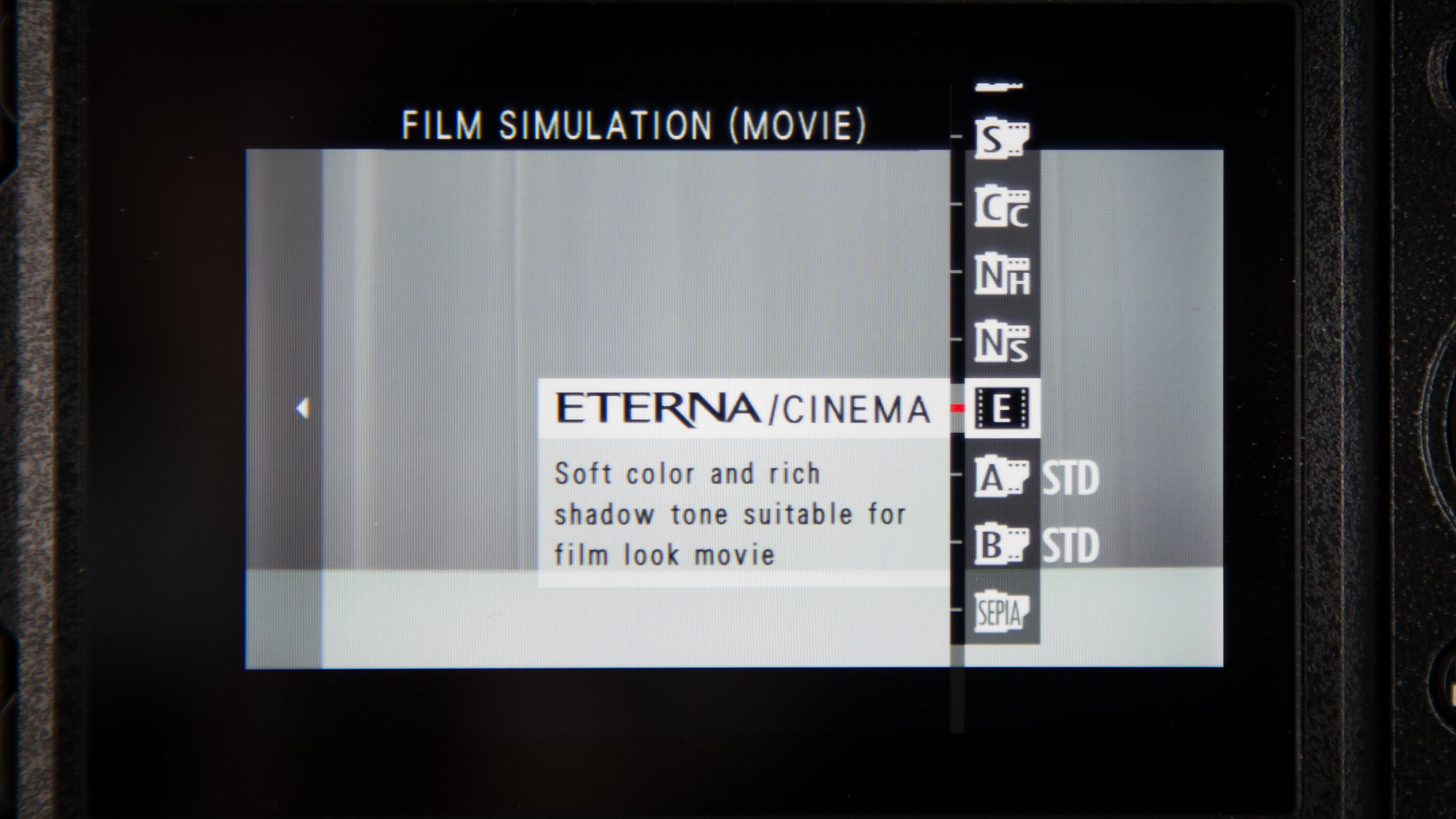 indruk Matron kin FUJIFILM ETERNA Film Simulation LUT is Now Available For Free Download |  CineD