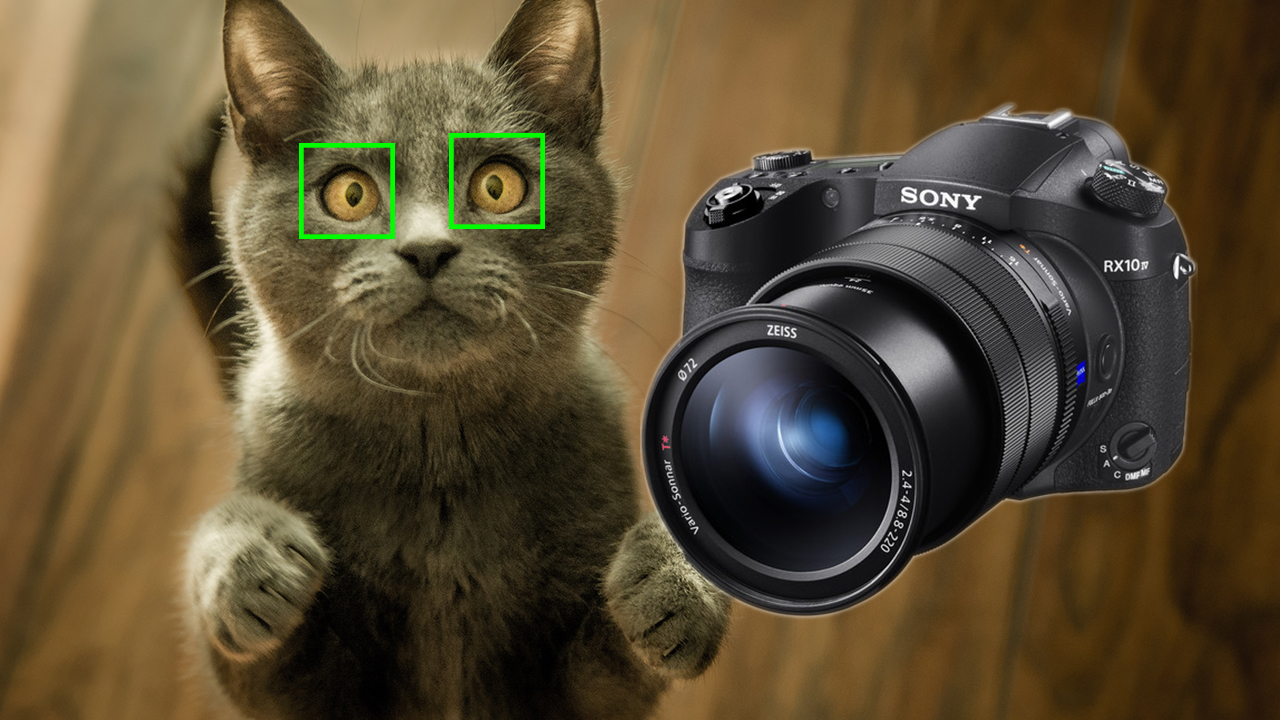 Actualización de firmware de la Sony RX10 IV agrega AF de Ojos de Animales  en tiempo real