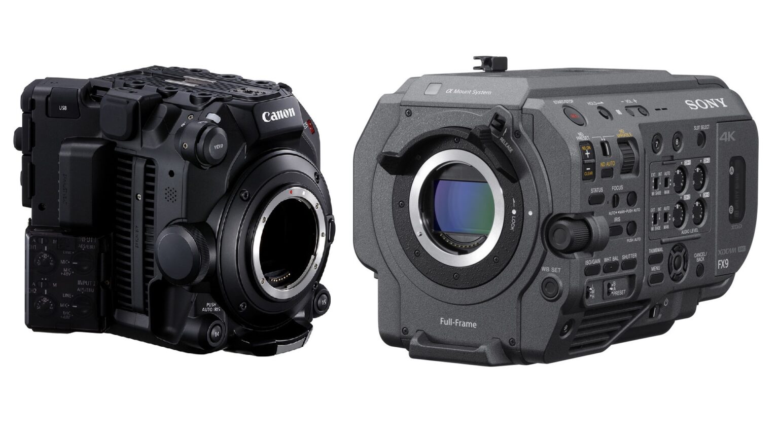 canon c500 mark ii vs sony fx9