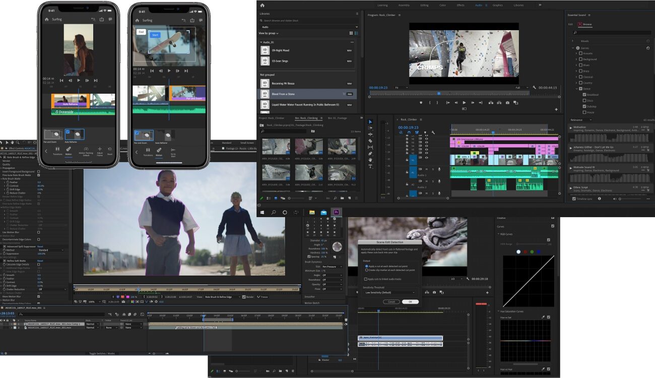 adobe premiere pro 2.0 put in video only comes as audio