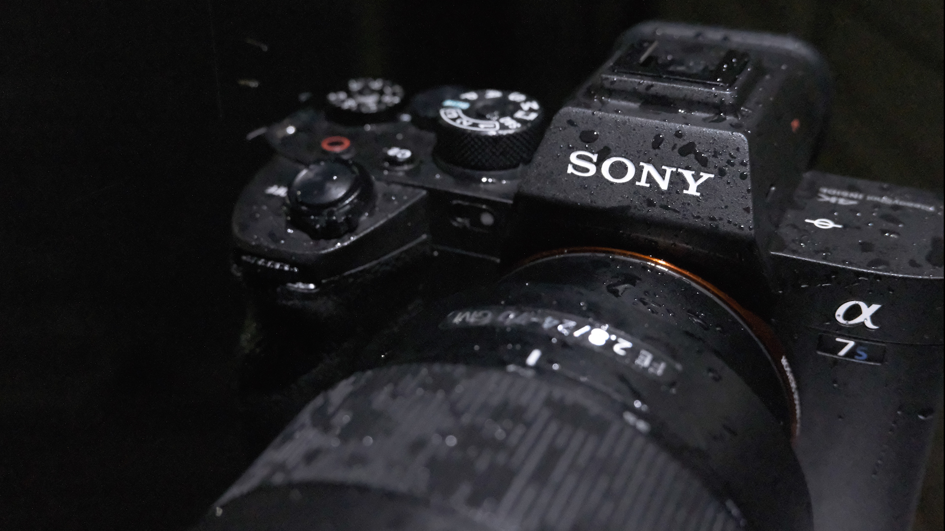Misverstand Sinds Aan het leren Sony a7S III Announced - 4K120 10-Bit 422 & 16-Bit RAW Output | CineD