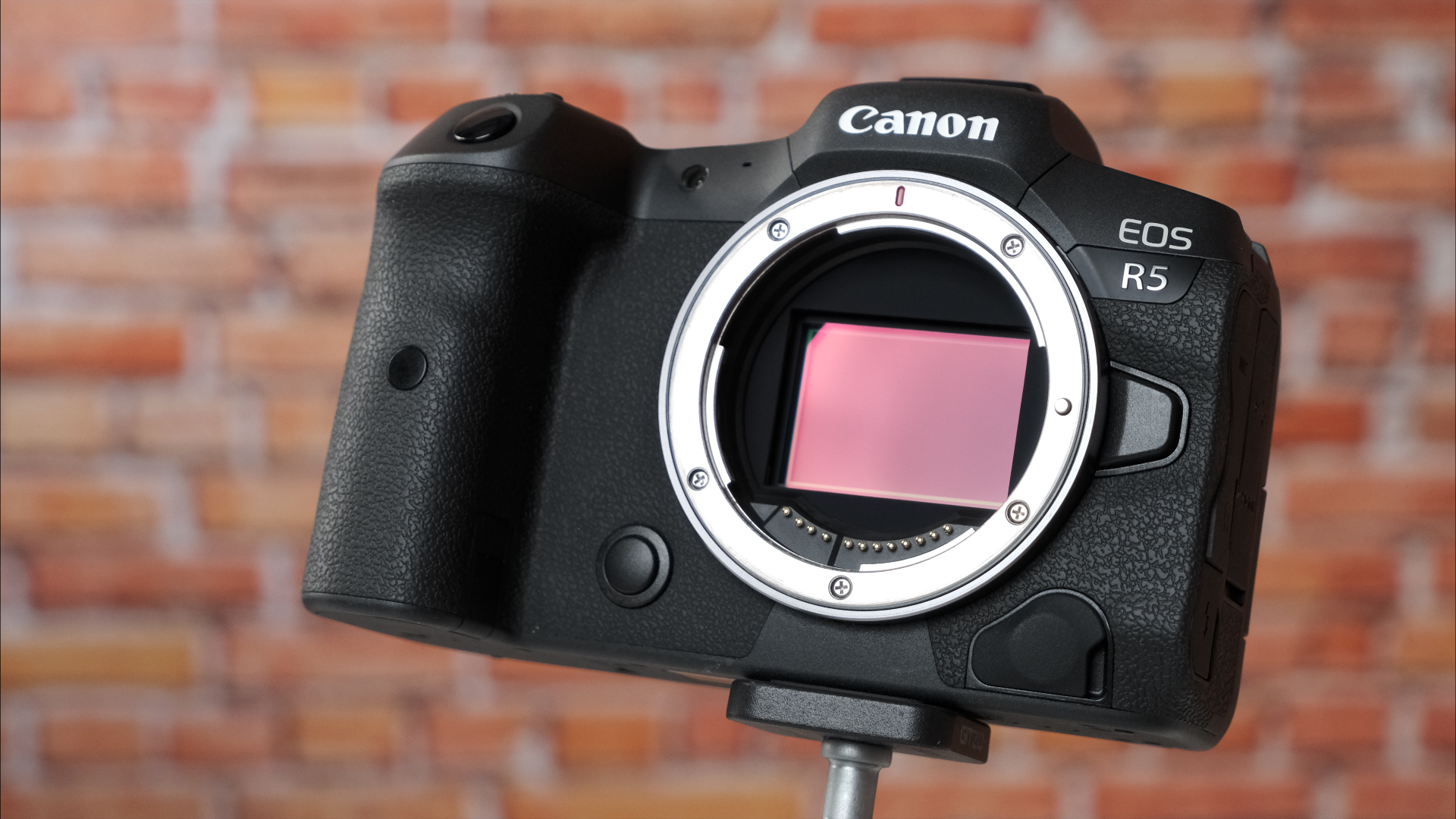 Canon EOS R5 (Cuerpo) – Technology Video