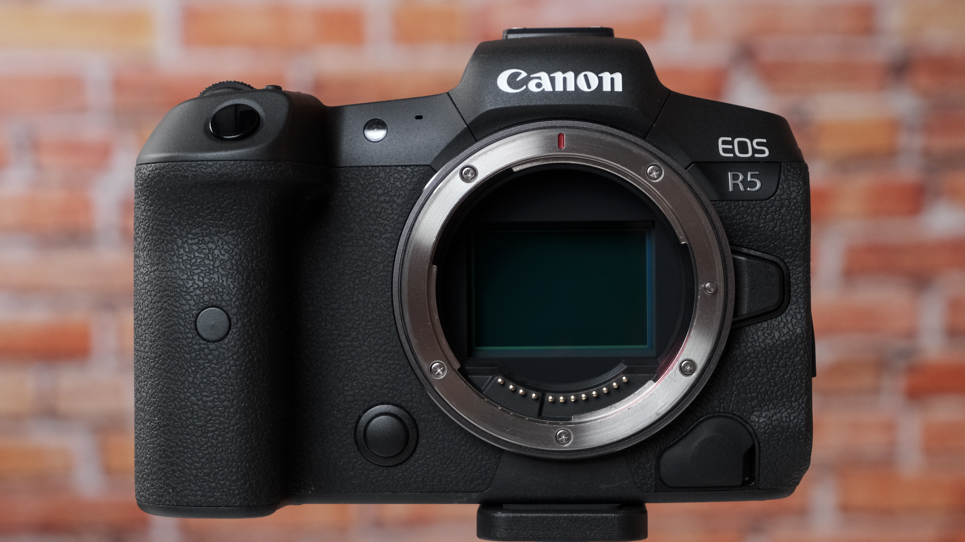 Reseña de la Canon EOS R5: ¿El sobrecalentamiento es cosa del