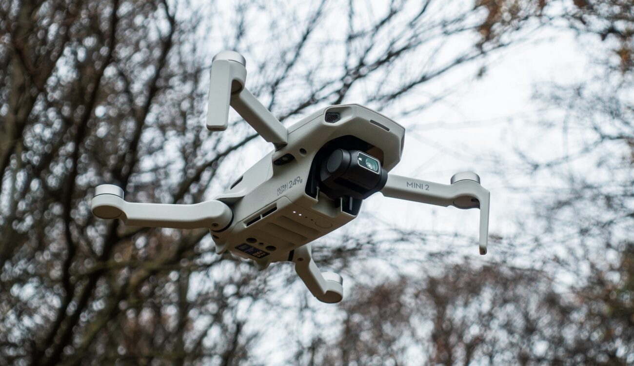 DJI Mini 2 Drone Gets 2.7K60p Video with Firmware Update | CineD