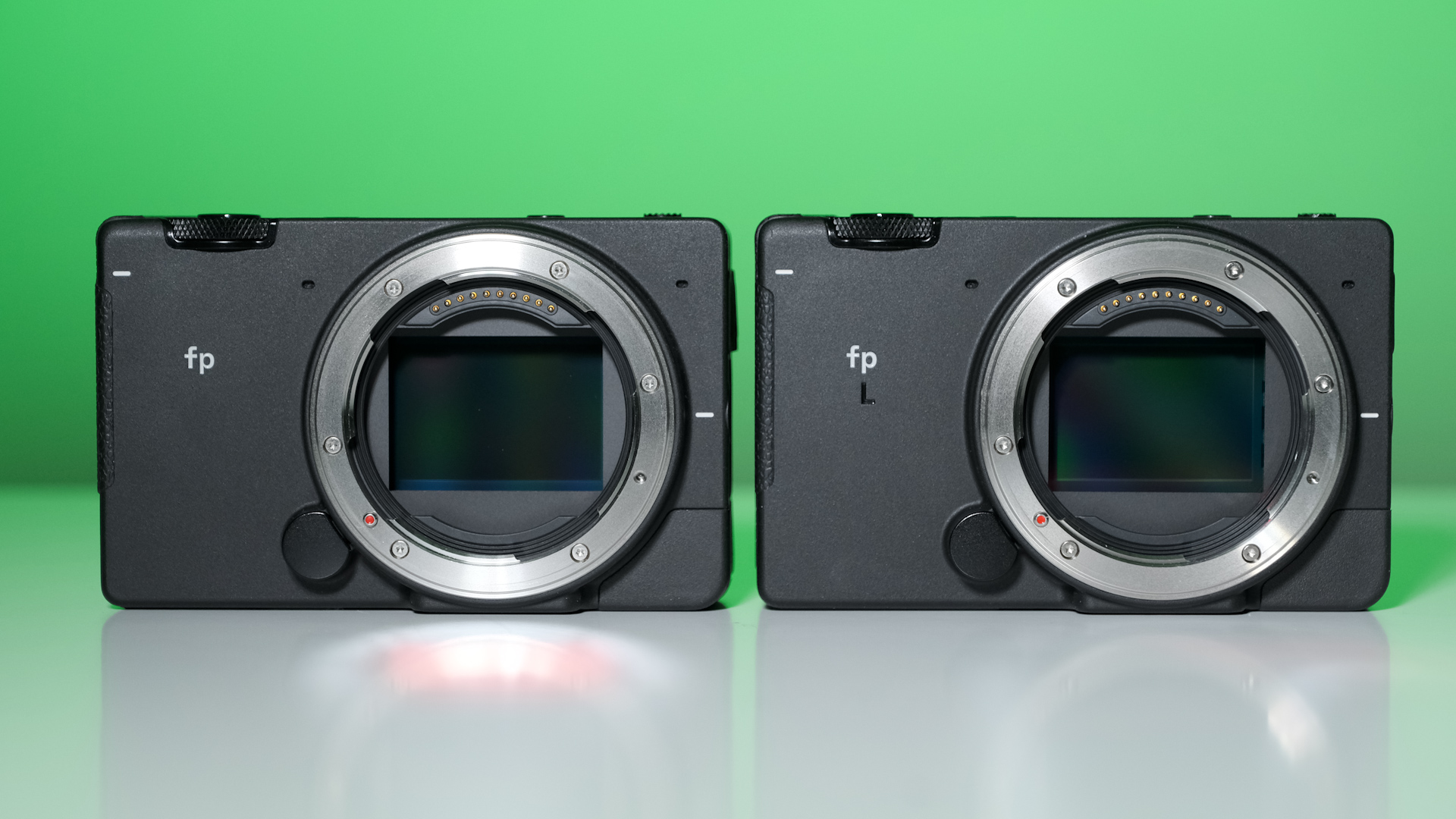 SIGMA fp L Review and Sample Footage | CineD