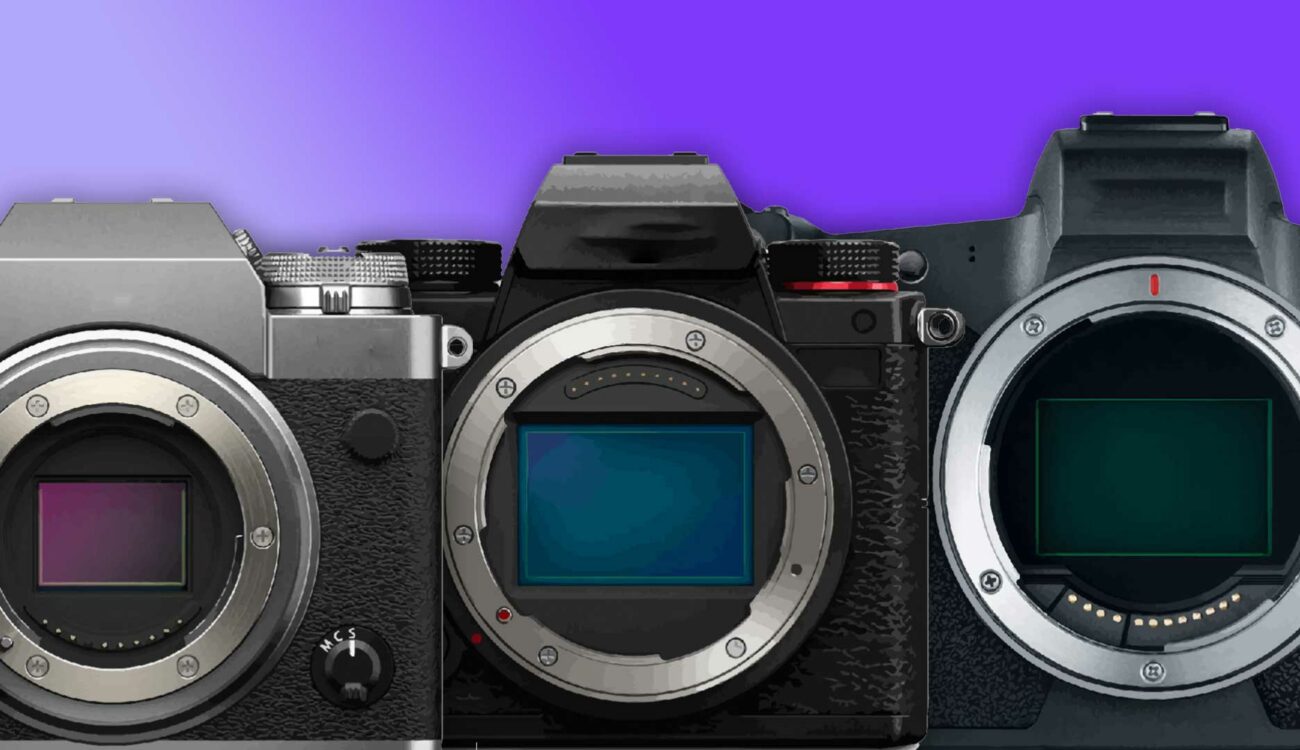 Best Cameras – under $2,000 | CineD