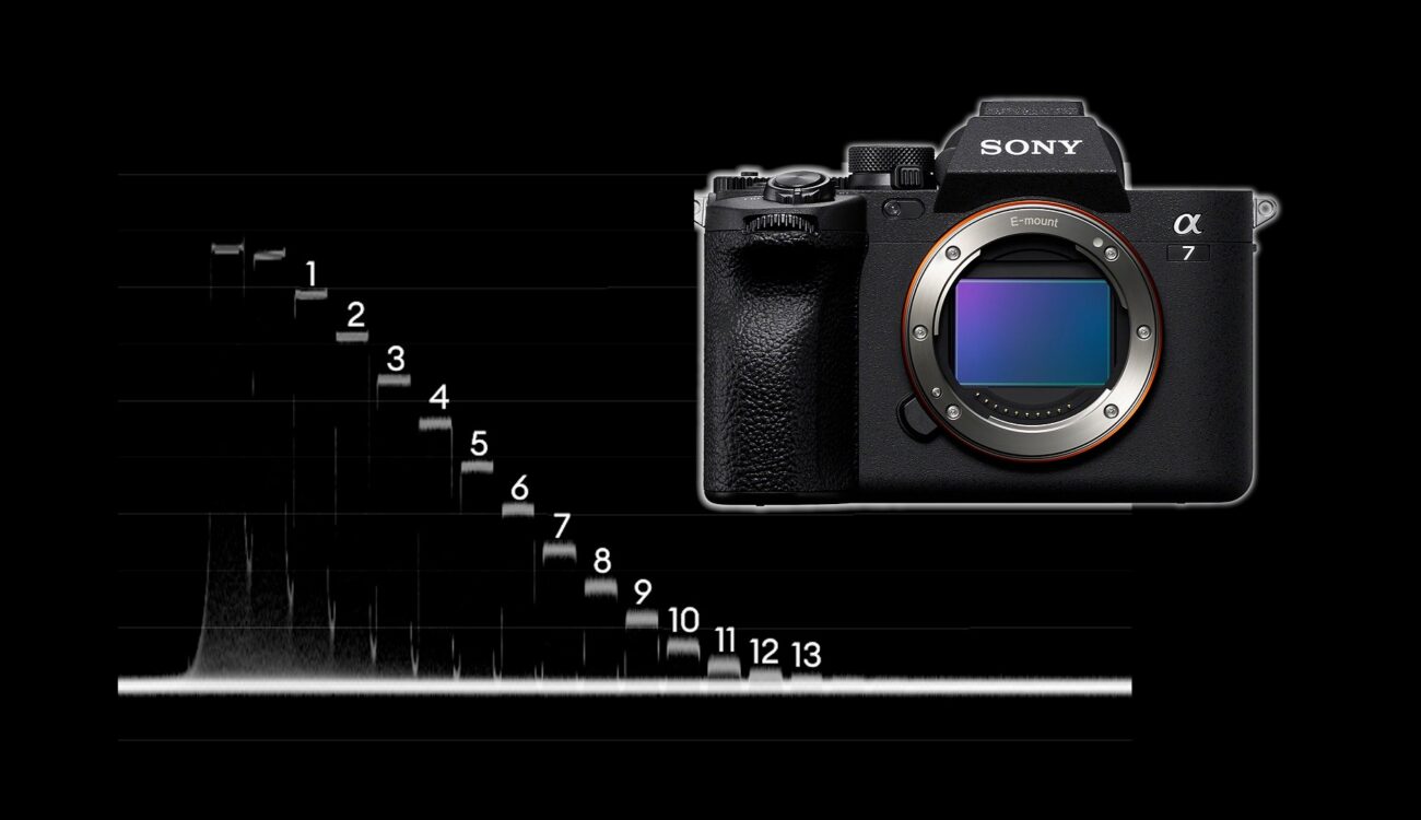 Sony Alpha A7IV - First Thoughts