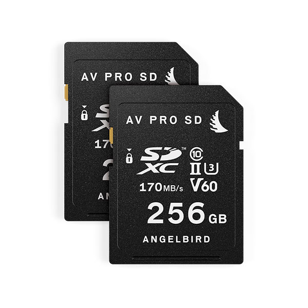Angelbird AV PRO MK2 SDカード 512GB 2枚セット