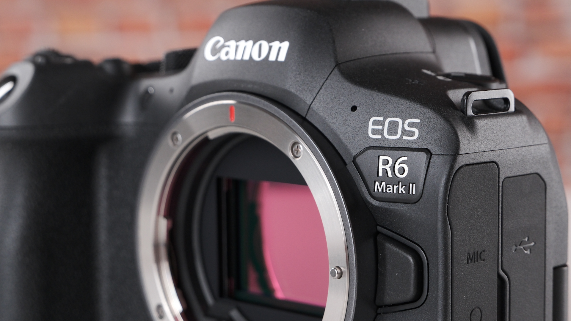 Canon EOS R6 II review: An excellent hybrid camera with few flaws 