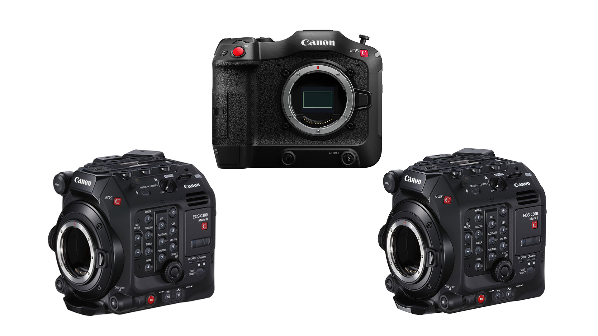 Canon R5 II Coming in 2024 ??! - PRONEWS