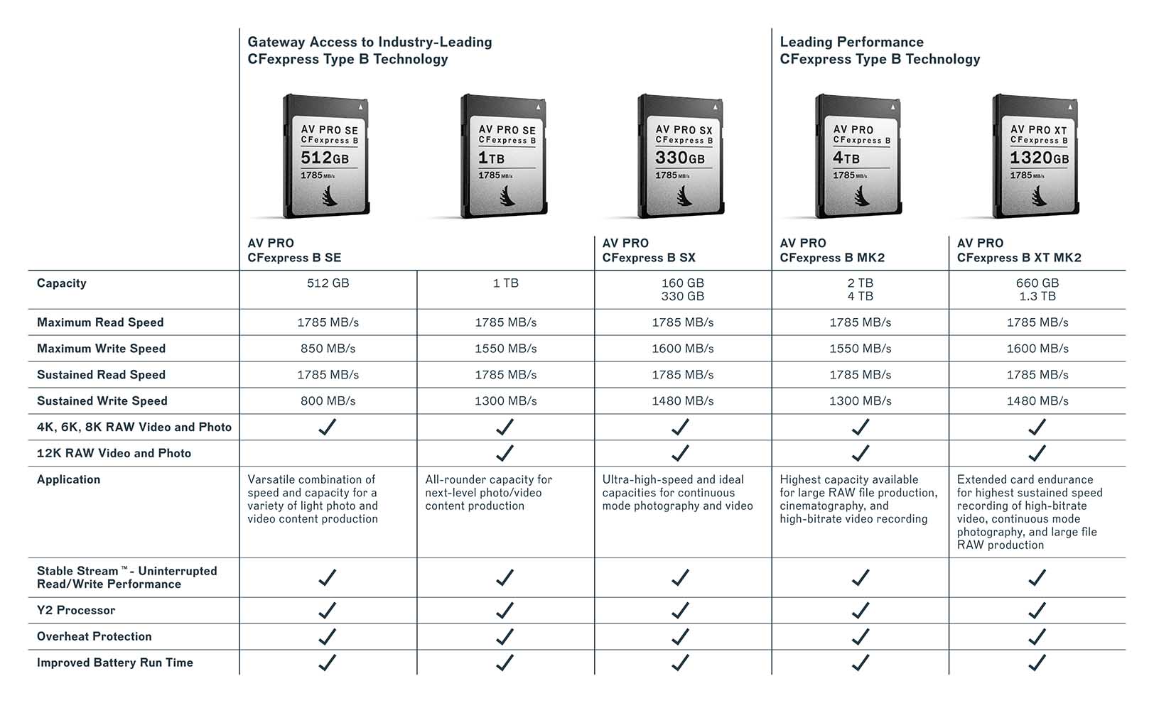 Presentamos Las Tarjetas De Memoria Angelbird CFexpress B SE De 1 TB Y ...