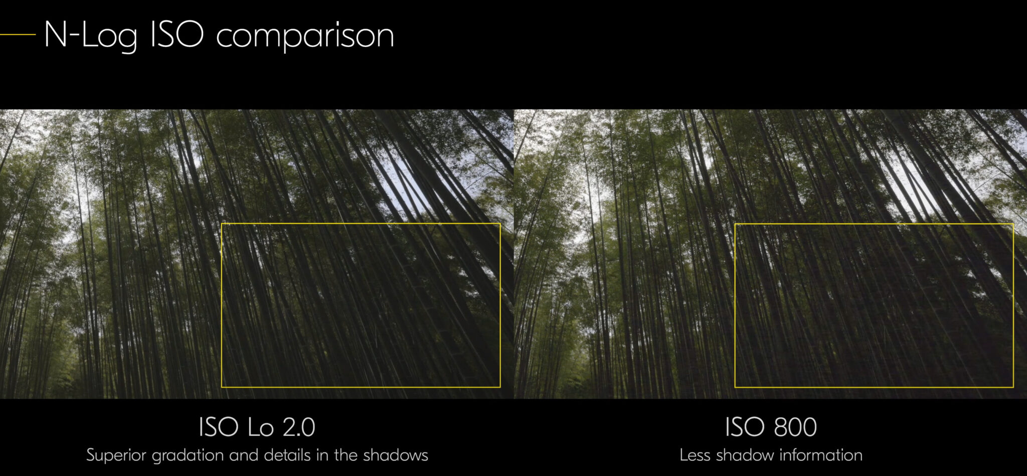 Nikon Z 9 Firmware 4.0 Update Released – Auto Capture, Lower Minimum ...