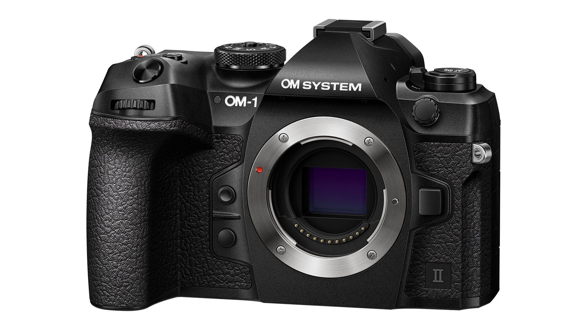 OM System OM-1 Review - Power in a small package 