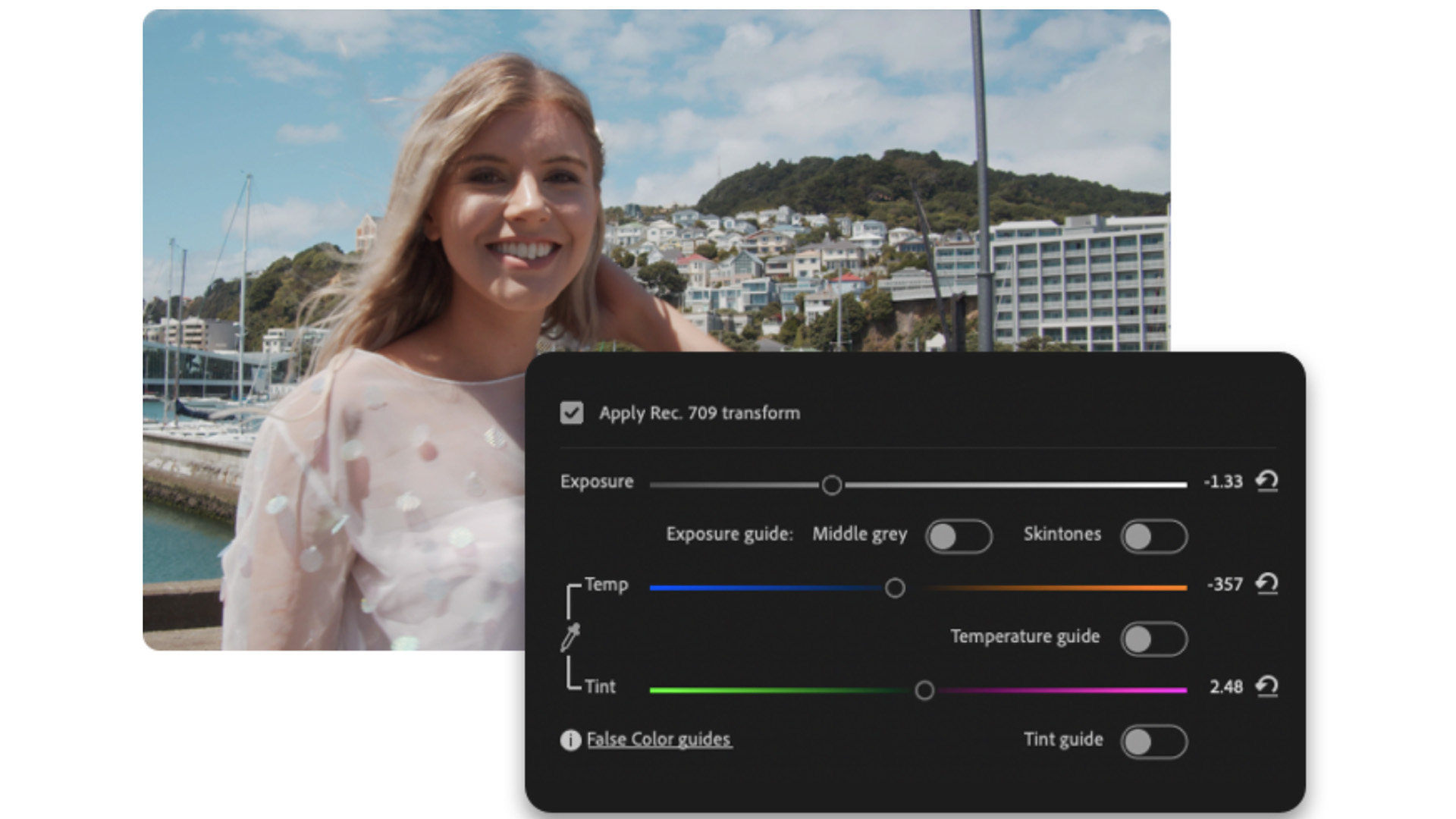 FilmConvert Nitrate and CineMatch Camera Profile for Panasonic LUMIX S5 ...