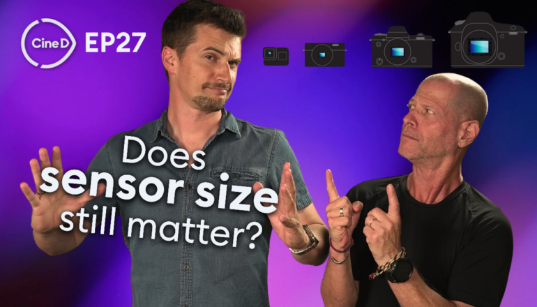 CineD Focus Check Ep27 - Does Sensor Size Still Matter? |  Shooting Wildlife on LUMIX G9 II | New Sony Pro Camcorders