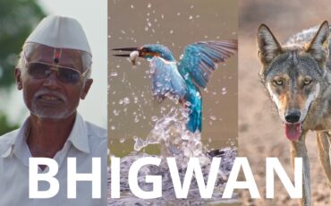 Bhigwan – Un documental sobre la vida salvaje de la India filmado con una LUMIX G9 II