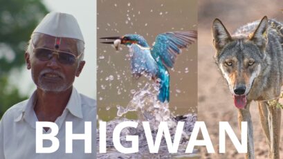 Bhigwan - An Indian Wildlife Documentary Shot on LUMIX G9 II