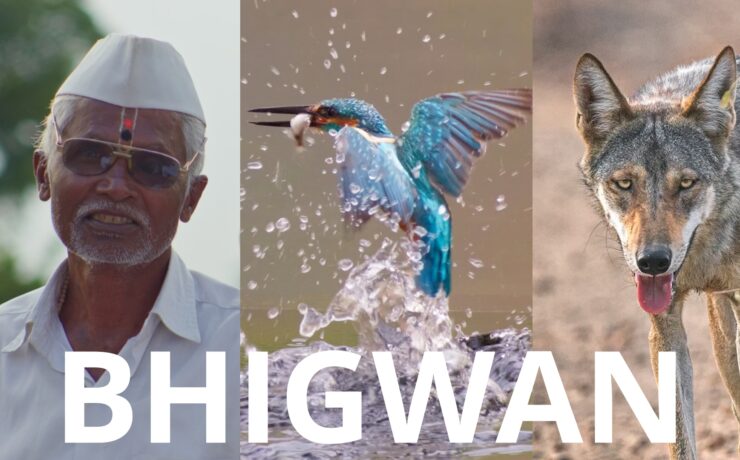 Bhigwan - An Indian Wildlife Documentary Shot on LUMIX G9 II