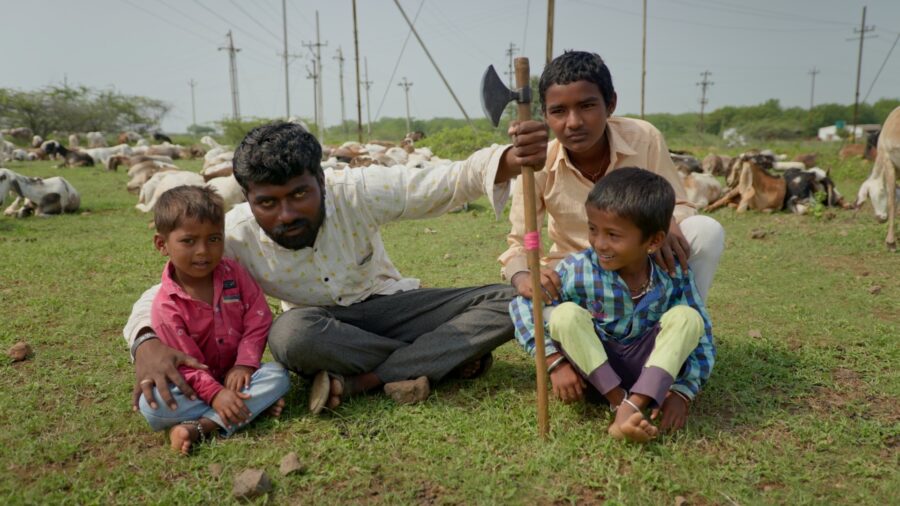 BHIGWAN - an Indian Wildlife Documentary