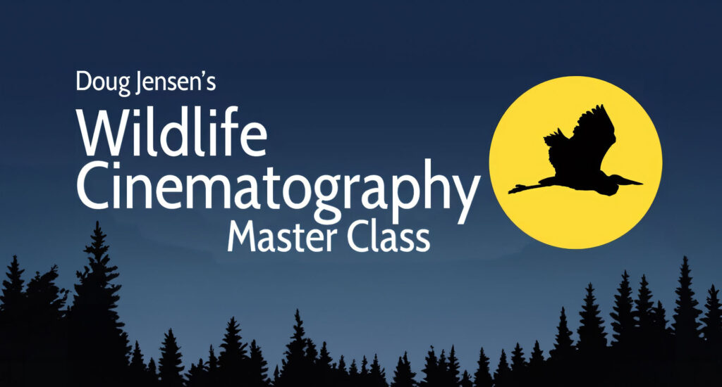 New Wildlife Cinematography Master Class by Doug Jensen – Now on MZed