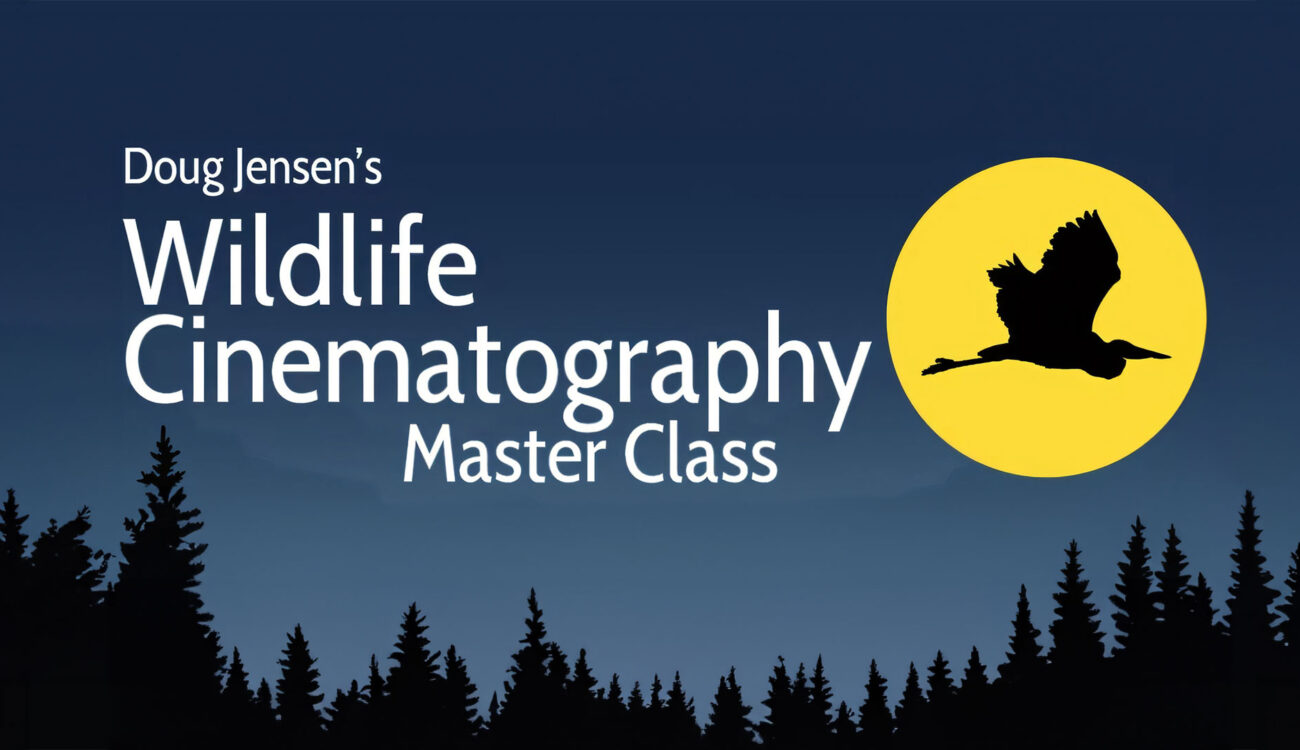 New Wildlife Cinematography Master Class by Doug Jensen – Now on MZed