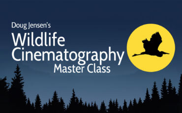 New Wildlife Cinematography Master Class by Doug Jensen – Now on MZed