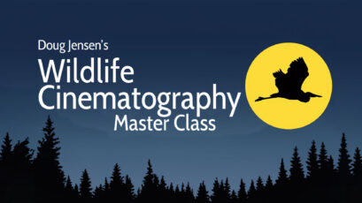 Doug Jensen's Wildlife Cinematography Master Class